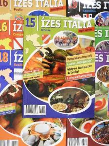 Ízes Itália 2013. (nem teljes évfolyam) [antikvár]