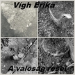 Erika Vígh - A valóság rései - Novellák, egypercesek, versek [eKönyv: epub, mobi]