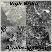 Erika Vígh - A valóság rései - Novellák, egypercesek, versek [eKönyv: epub, mobi]