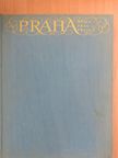 Dr. Jirí Burian - Praha/Prag/Prague [antikvár]