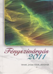 Fényszivárgás 2011 [antikvár]