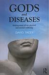 David Tacey - Gods and Diseases [antikvár]
