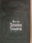 White E. G. - A Jézushoz vezető út [antikvár]