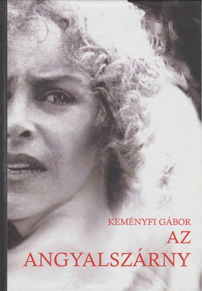 Keményfi Gábor - Az angyalszárny [antikvár]