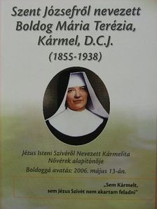 Szent Józsefről nevezett Boldog Mária Terézia, Kármel, D.C.J. (1855-1938) [antikvár]