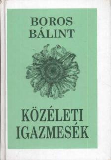 Boros Bálint - Közéleti igazmesék [antikvár]