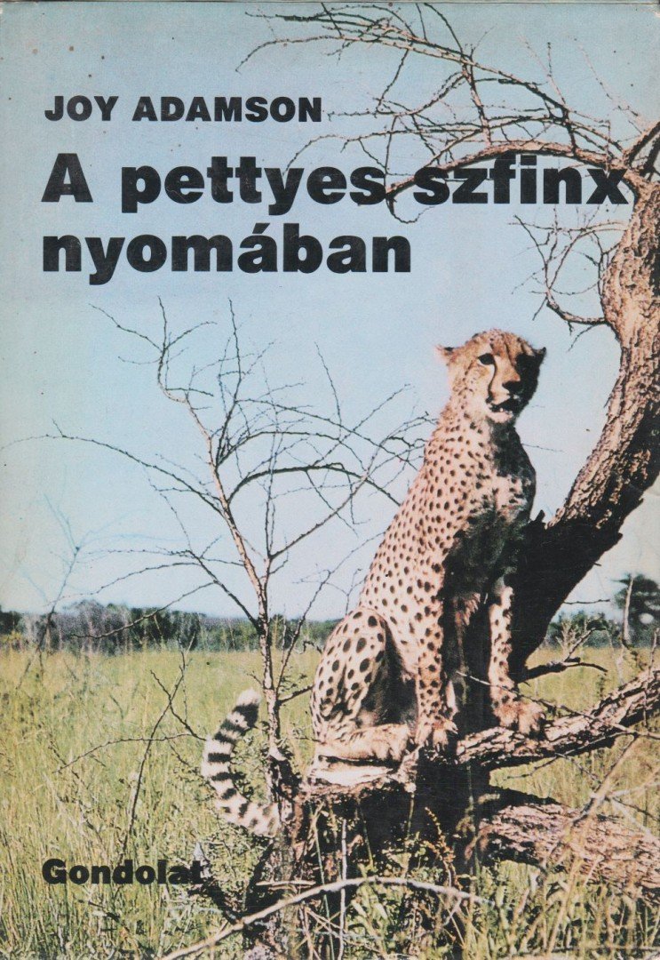 Joy Adamson - A pettyes szfinx nyomában [antikvár]