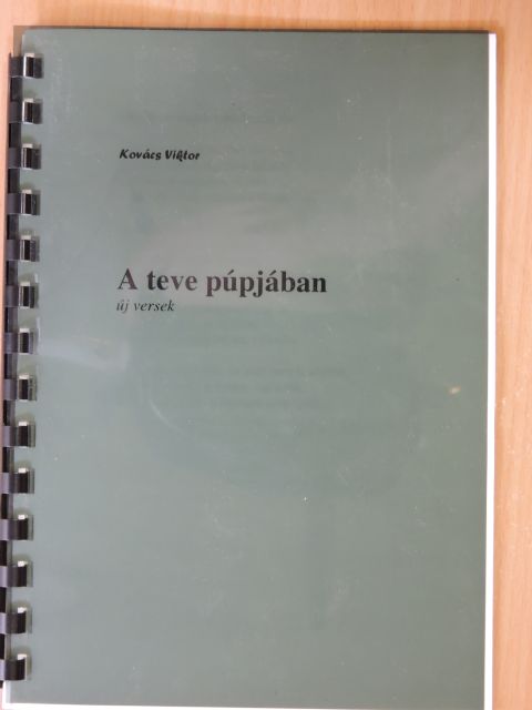 Kovács Viktor - A teve púpjában [antikvár]
