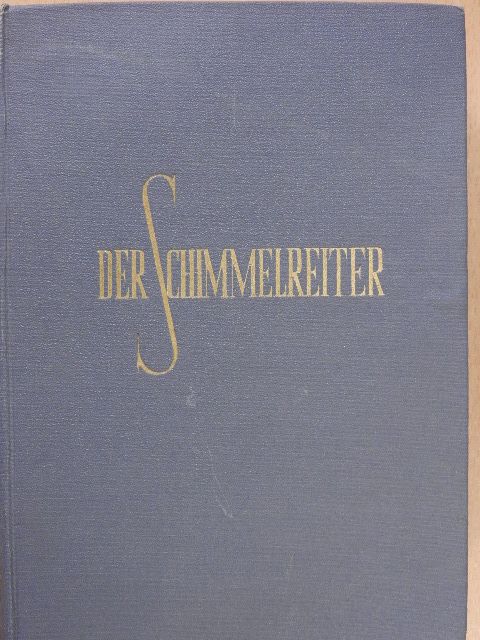 Theodor Storm - Der Schimmelreiter [antikvár]