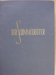 Theodor Storm - Der Schimmelreiter [antikvár]