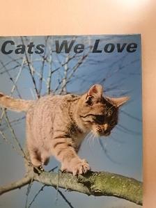 A. E. Brehm - Cats We Love [antikvár]