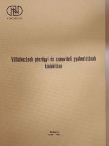 Csákvári Ágota - Vállalkozások pénzügyi és számviteli gyakorlatának kialakítása [antikvár]