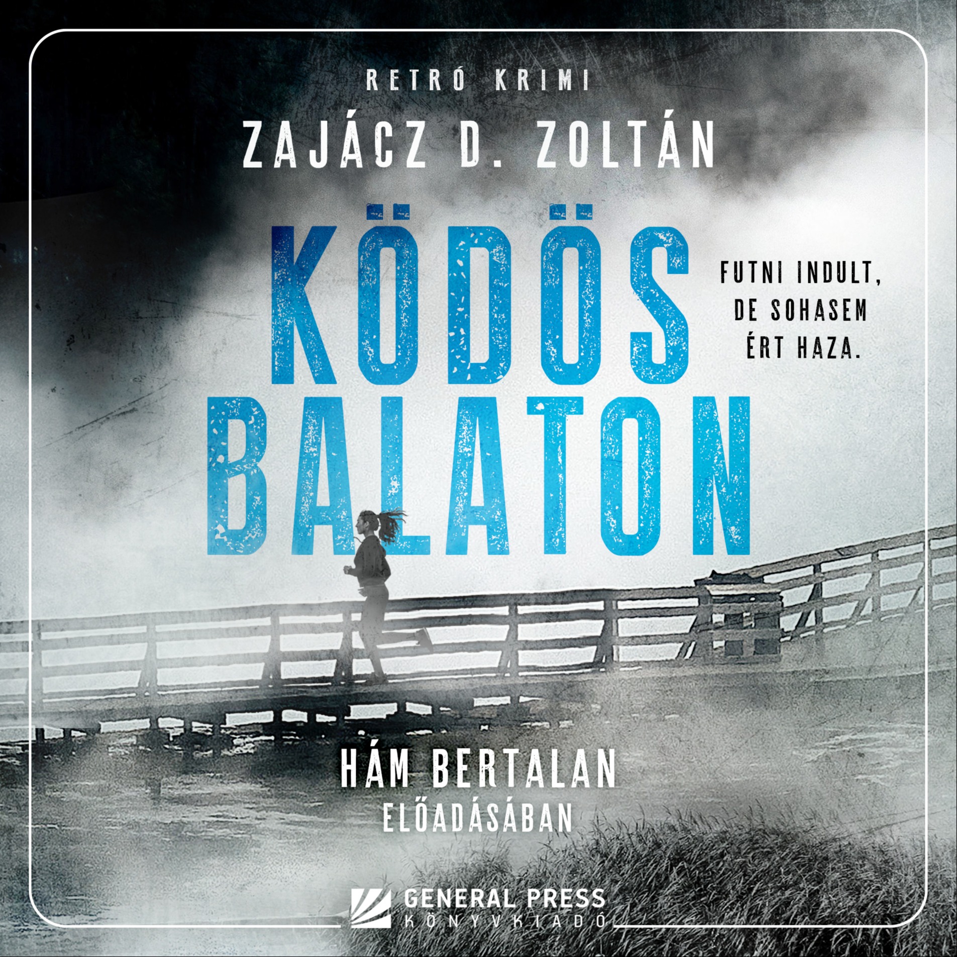 Zajácz D. Zoltán - Ködös Balaton [eHangoskönyv]