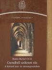 Fr. Marie-Michel OCD - Csendből született tűz [antikvár]