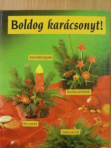 Angelika Ilies - Boldog karácsonyt! [antikvár]