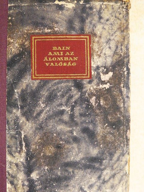 F. W. Bain - Ami az álomban valóság [antikvár]