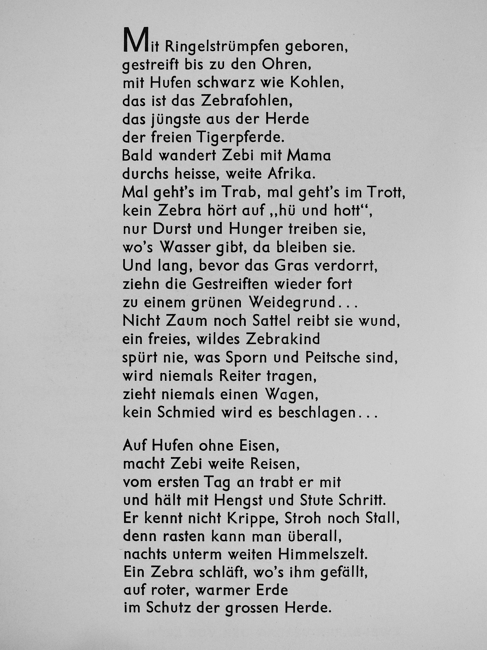Zebi, das Streifenfohlen [antikvár]