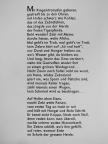 Zebi, das Streifenfohlen [antikvár]