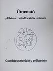 Dr. Czike Imre János O. Cist. - Családpasztoráció a plébánián [antikvár]
