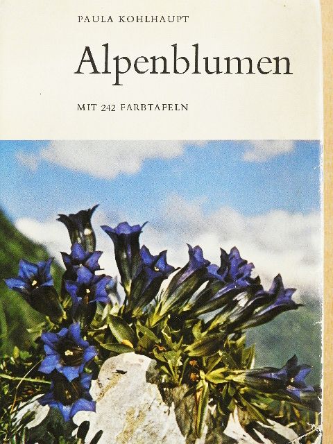 Paula Kohlhaupt - Alpenblumen - Alpenblumen in Ihrer Umwelt und im Volksleben I. [antikvár]