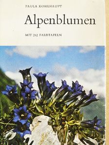 Paula Kohlhaupt - Alpenblumen - Alpenblumen in Ihrer Umwelt und im Volksleben I. [antikvár]
