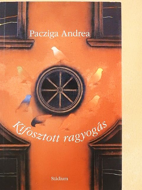 Pacziga Andrea - Kifosztott ragyogás [antikvár]