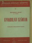 Bicskei Jenő - Gyakorlati számtan [antikvár]