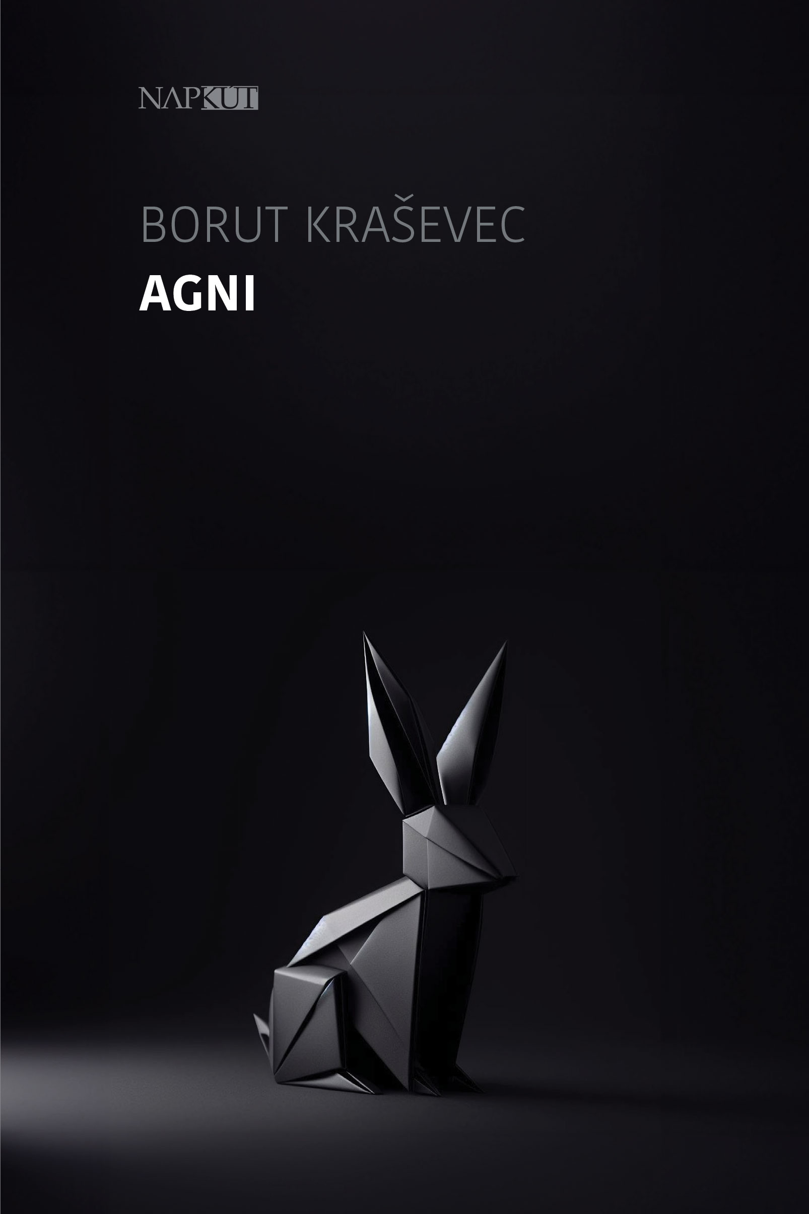 Borut Kra¹evec - Agni [eKönyv: epub, mobi]
