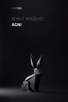 Borut Kra¹evec - Agni [eKönyv: epub, mobi]