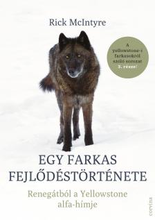 Rick McIntyre - Egy farkas fejlődéstörténete - Renegátból a Yellowstone alfa-hímje