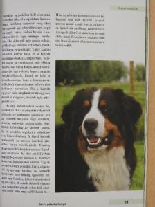 Berni pásztorkutya [antikvár]