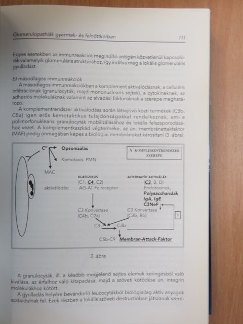 Dr. Árkossy Ottó - Nephrologia 1999 [antikvár]