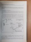 Dr. Árkossy Ottó - Nephrologia 1999 [antikvár]