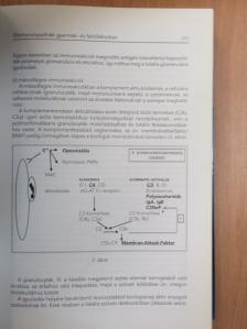 Dr. Árkossy Ottó - Nephrologia 1999 [antikvár]
