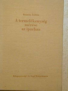 Román Zoltán - A termelékenység mérése az iparban [antikvár]
