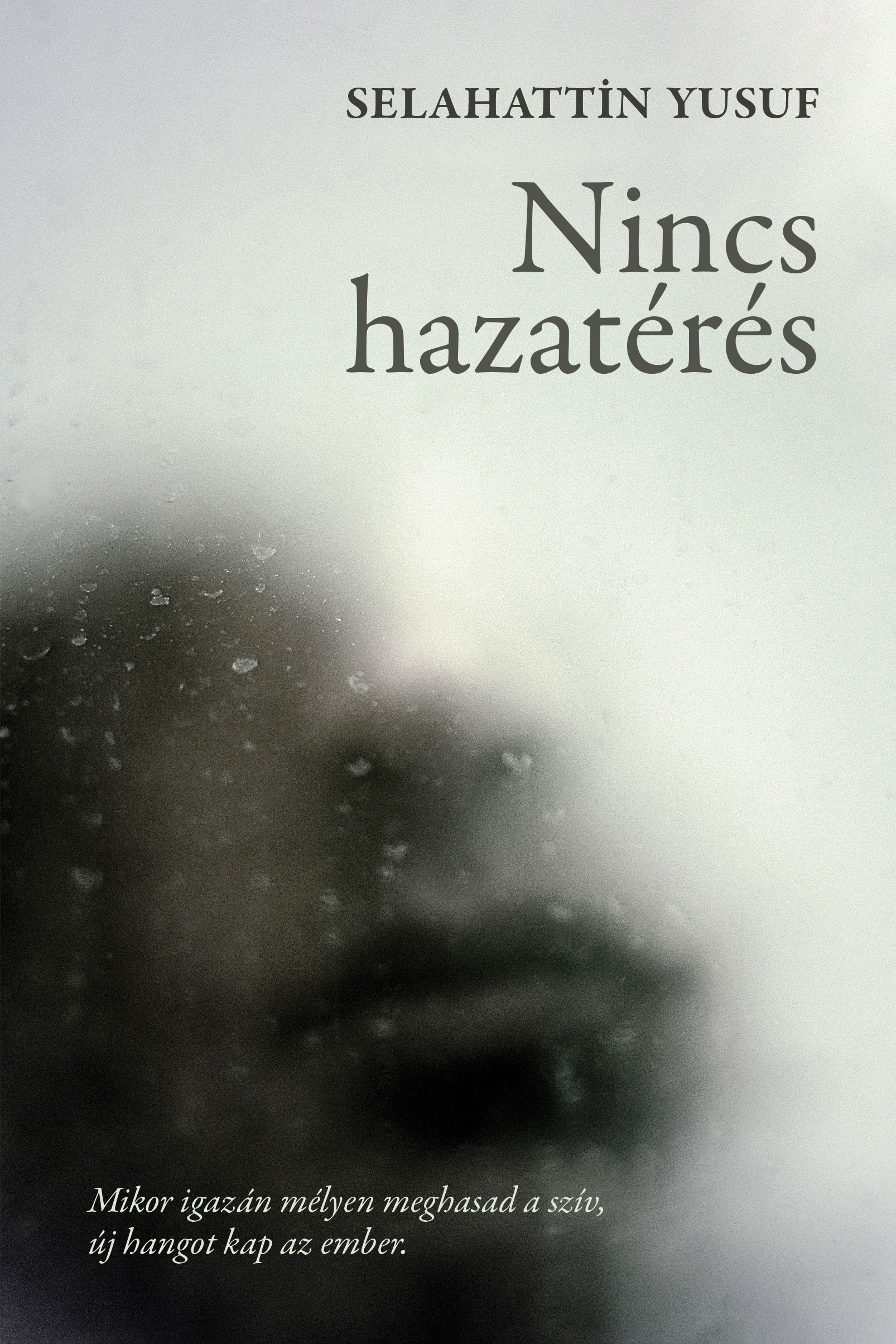 Selahattin Yusuf - Nincs hazatérés [eKönyv: epub, mobi]
