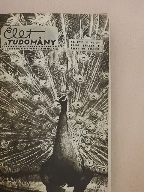 Földi Iván - Élet és tudomány 1956. (nem teljes évfolyam) [antikvár]