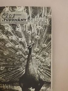 Földi Iván - Élet és tudomány 1956. (nem teljes évfolyam) [antikvár]
