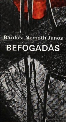 BÁRDOSI NÉMETH JÁNOS - Befogadás [antikvár]