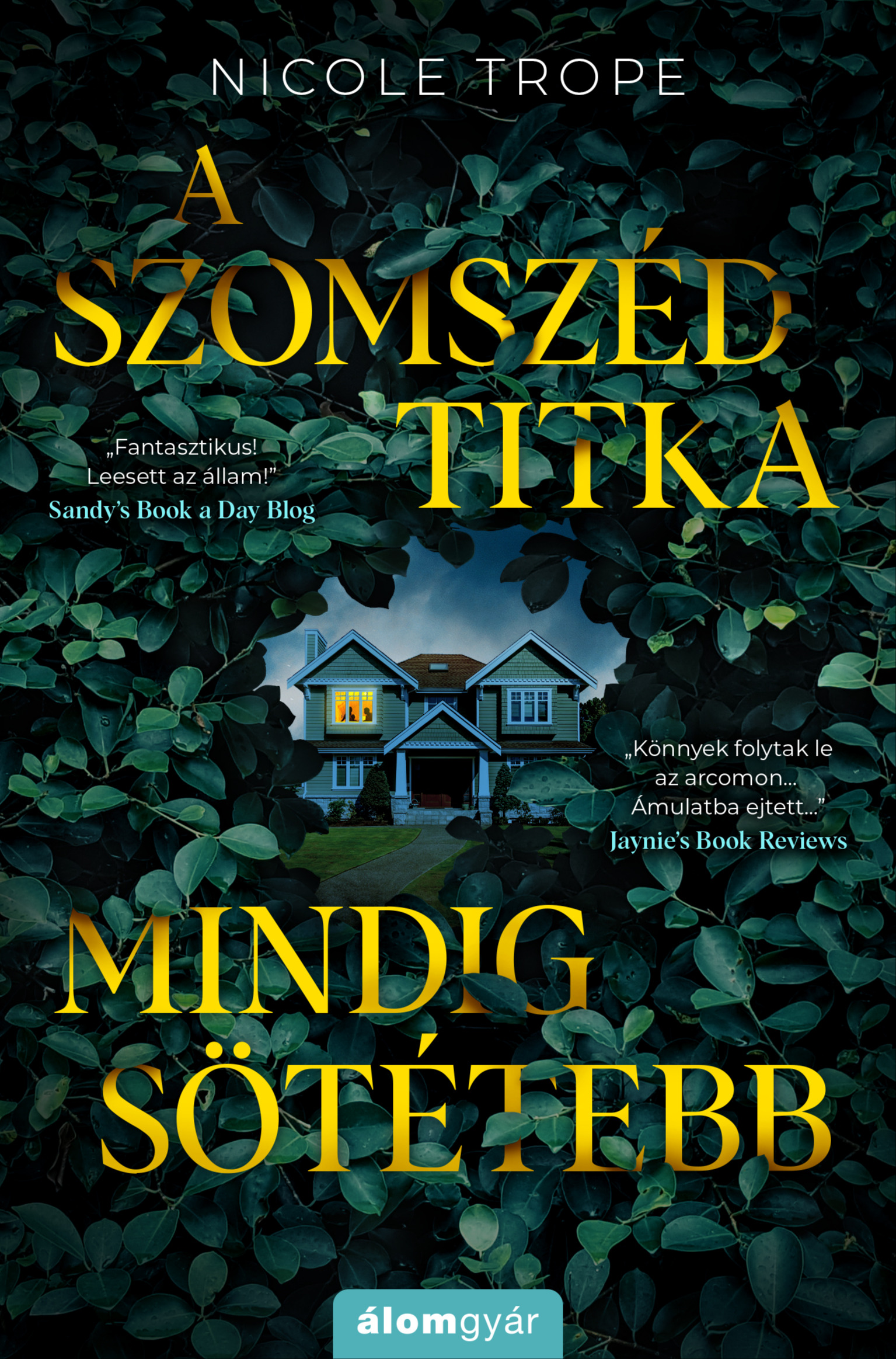 Nicole Trope - A szomszéd titka mindig sötétebb [eKönyv: epub, mobi]