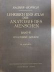 Dr. Fr. Kopsch - Lehrbuch und Atlas der Anatomie des Menschen II. [antikvár]