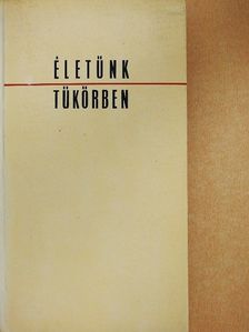 Bajor Nagy Ernő - Életünk tükörben [antikvár]