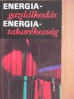 Dr. Büki Imre - Energiagazdálkodás, energiatakarékosság [antikvár]