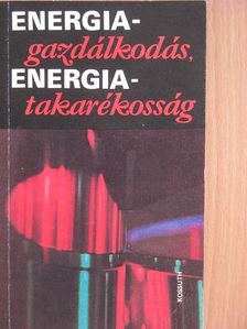 Dr. Büki Imre - Energiagazdálkodás, energiatakarékosság [antikvár]