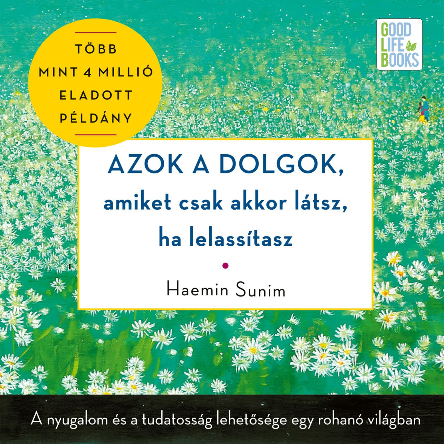 Haemin Sunim - Azok a dolgok, amiket csak akkor látsz, ha lelassítasz [eHangoskönyv]