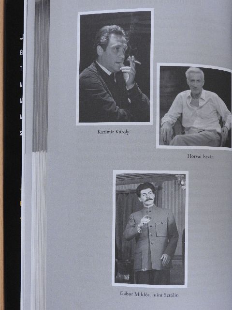 Szinetár Miklós - Szinetár - Önéletrajz-szerűség és egyebek [antikvár]