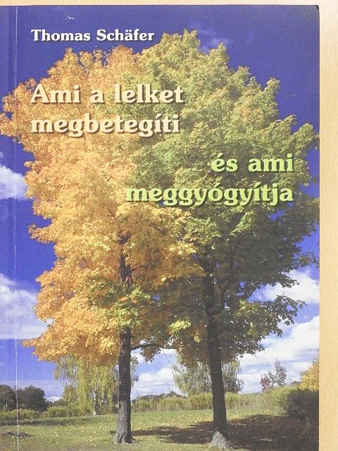 Thomas Schäfer - Ami a lelket megbetegíti, és ami meggyógyítja [antikvár]