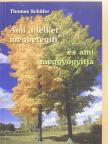 Thomas Schäfer - Ami a lelket megbetegíti, és ami meggyógyítja [antikvár]