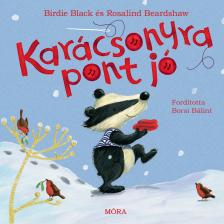 Birdie Black - Karácsonyra pont jó