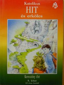 Katolikus hit és erkölcs 8. [antikvár]
